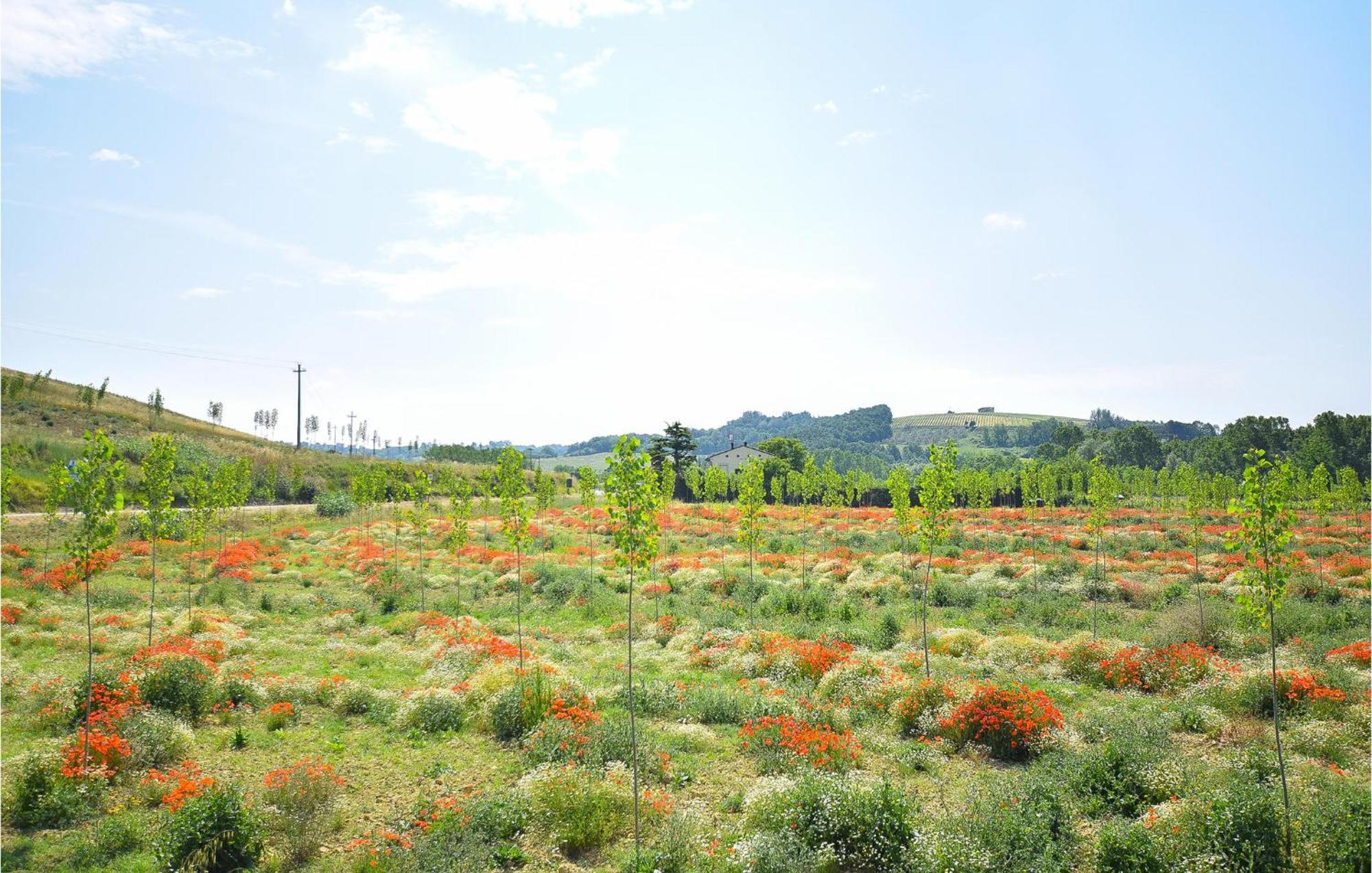 Awesome Home In Montefoscoli With Wifi エクステリア 写真